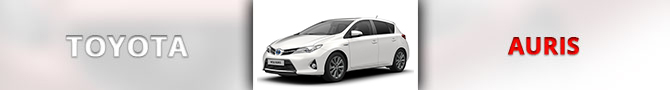 Auris